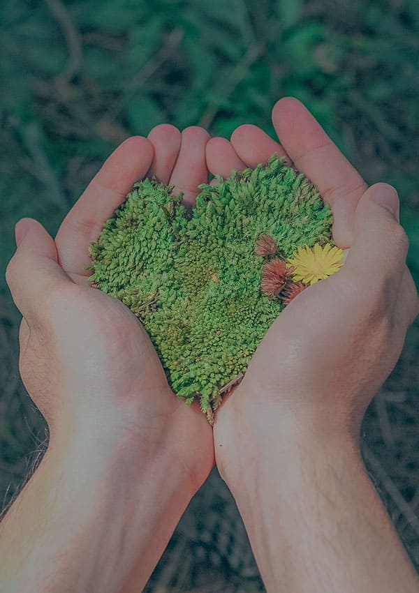 Fomentamos actividades de educación ambiental con nuestros equipos de trabajo y la comunidad para construir y fortalecer una cultura sostenible para todos.